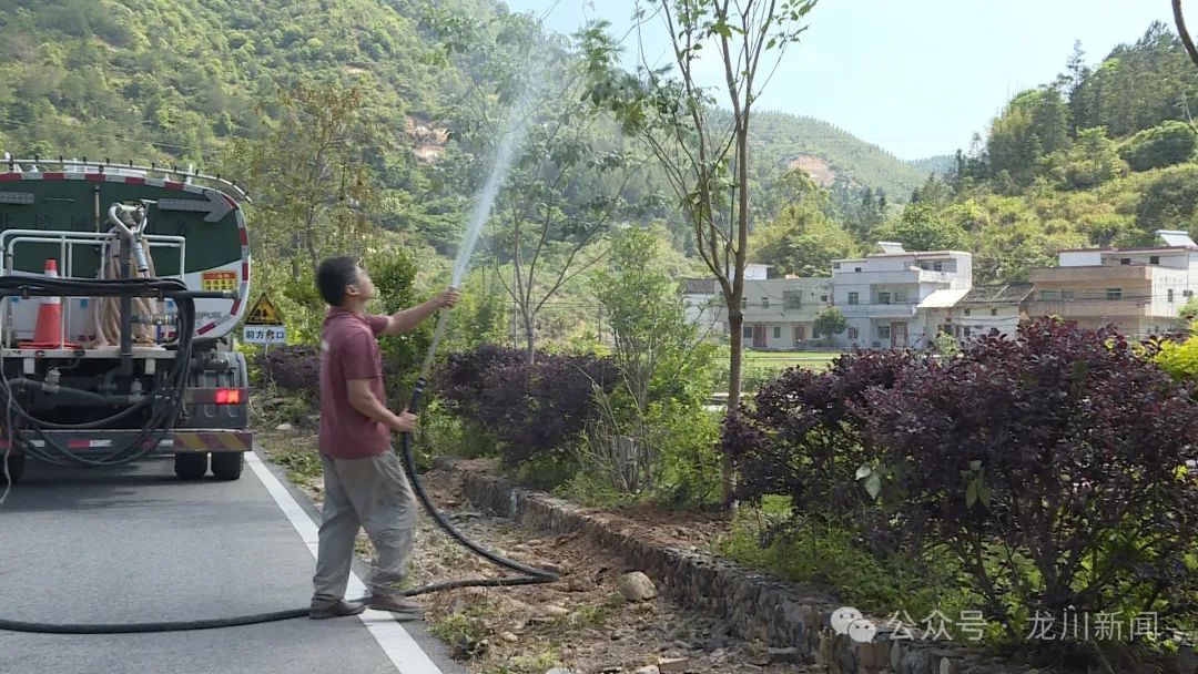 文章配圖