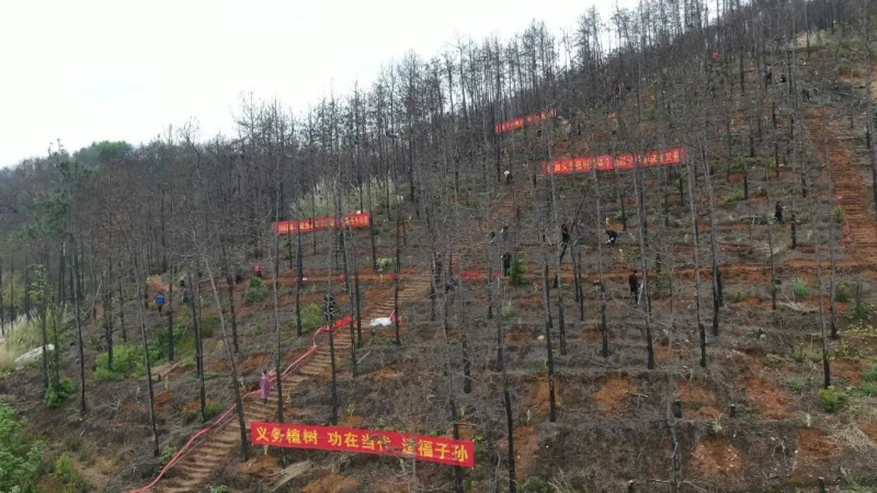 微信圖片_20220403092904.jpg